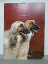 70 x 94 cm Afghaanse honden jaren 70