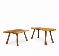Brutalist mimiset 1960s
