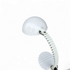 Flex / Martinelli / table lamp