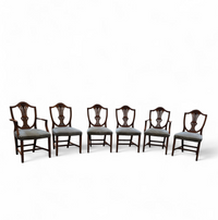 6 x English mahogany Hepplewhite chairs / 1920s