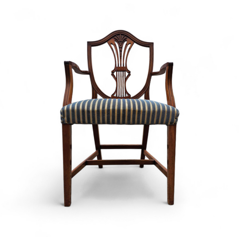 6 x English mahogany Hepplewhite chairs / 1920s