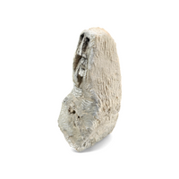 2 x stone sculptures by Dutch Artist Ad Maas