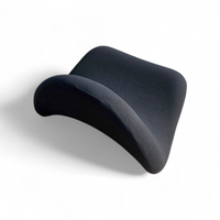 Tongue F577 Lounge Chair by Pierre Paulin for Artifort / iron frame / 1970s / vintage condition