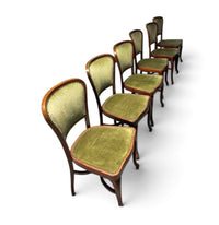 6 x Classic Thonet dining chairs / velvet upholstery / 1960s /