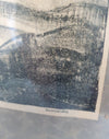 Litho lithografie/ lithografie / steendruk vogels / vogels