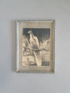 Litho lithografie/ lithografie / steendruk vogels / vogels
