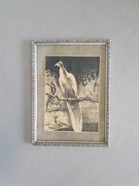 Litho lithografie/ lithografie / steendruk vogels / vogels