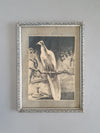 Litho lithografie/ lithografie / steendruk vogels / vogels